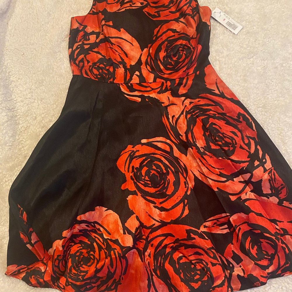 Poppy Donna Morgan Dress - never worn
